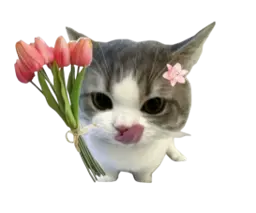 Decorative illustration